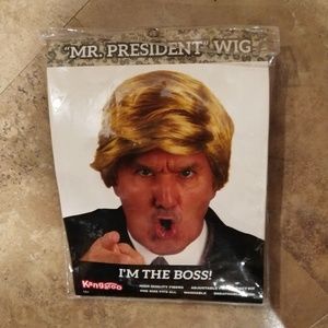 President Wig